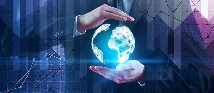 Umcc Import & Export Program